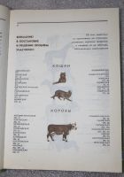 Лот: 20774263. Фото: 5. Дмитриев Ю. Книга о домашних животных...