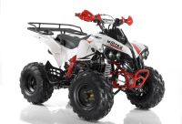 Лот: 21080497. Фото: 6. Квадроцикл MOTAX ATV Raptor Super...
