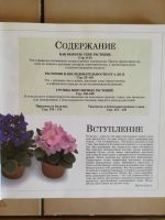 Лот: 20545169. Фото: 4. Цветы в интерьере - Мэтью Биггз. Красноярск