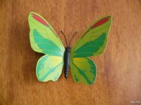 Лот: 5939248. Фото: 2. Наклейка 3D Бабочка - зеленая. Картины, панно