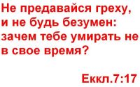 Лот: 5308310. Фото: 2. Безвозмездное знакомство с цитатами... Услуги