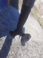 Лот: 22153519. Фото: 2. Осенние ботинки женские. Женская обувь