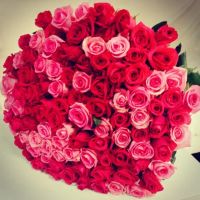 Лот: 4196143. Фото: 3. Розы 70-80 см от 75 руб., мини-роза... Сувениры, подарки