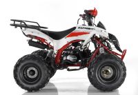 Лот: 21080497. Фото: 7. Квадроцикл MOTAX ATV Raptor Super...