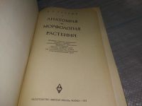 Лот: 18486478. Фото: 3. Тутаюк В. Х. Анатомия и морфология... Литература, книги