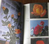 Лот: 19898275. Фото: 6. Розы - Сорта, их требования к...