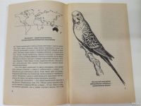 Лот: 18197871. Фото: 3. Волнистые попугаи. Книга. Литература, книги