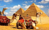 Лот: 4806286. Фото: 2. Горящий тур в Египет, 4 декабря... Туризм