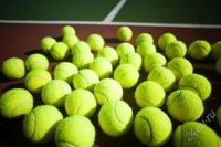 Лот: 1549110. Фото: 2. теннисные мячи ( tennis ball... Спортивные товары