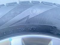 Лот: 19172754. Фото: 7. Зимние шины Pirelli Ice Asimmetrico...