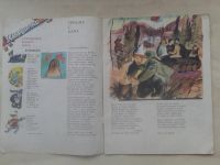 Лот: 19849720. Фото: 2. Журнал Мурзилка №3 Март 1978 год... Журналы, газеты, каталоги