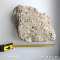 Лот: 19662953. Фото: 2. Сухой рифовый камень СРК коралл. Аквариумистика