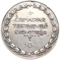 Лот: 19854036. Фото: 2. Венгрия 1930 Медаль Союз физического... Значки, медали, жетоны