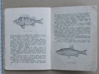 Лот: 19149056. Фото: 7. Книга малышка Юный рыболов Колганов...
