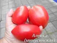 Лот: 20982790. Фото: 3. семена минусинских помидор. Для дачи, дома, огорода, бани, парка