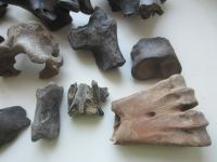 Лот: 18956225. Фото: 6. Кости ископаемых животных. Плейстоцен...