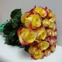 Лот: 4196143. Фото: 18. Розы 70-80 см от 75 руб., мини-роза...