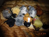 Лот: 5443559. Фото: 4. 30 собачек! Dog collection Коллекция... Красноярск