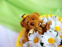 Лот: 5508985. Фото: 2. букет из игрушек "Солнечный мишка... Цветы, букеты