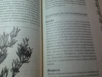 Лот: 15588475. Фото: 7. "Комнатные растения" серия "Книга...