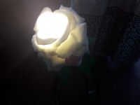 Лот: 14567463. Фото: 2. Роза-светильник напольный. Освещение