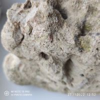 Лот: 19662953. Фото: 6. Сухой рифовый камень СРК коралл