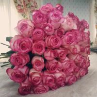 Лот: 4196143. Фото: 12. Розы 70-80 см от 75 руб., мини-роза...