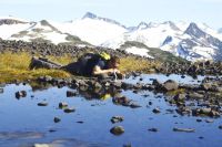 Лот: 4294191. Фото: 7. LifeStraw Personal 1000 литров...