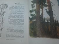 Лот: 19510531. Фото: 5. Детская книга "Год в лесу" И.Соколов-Микитов...