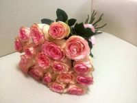 Лот: 4196143. Фото: 21. Розы 70-80 см от 75 руб., мини-роза...