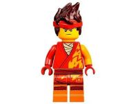 Лот: 21576939. Фото: 7. LEGO Ninjago Огненный дракон ЭВО...