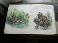Лот: 19019513. Фото: 4. Книга детская о животных 1968-1987... Красноярск