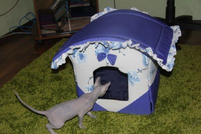 Лот: 5919662. Фото: 1. кошка лысая. Кошки, котята