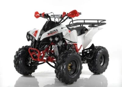 Лот: 21080497. Фото: 1. Квадроцикл MOTAX ATV Raptor Super... Снегоходы, квадроциклы