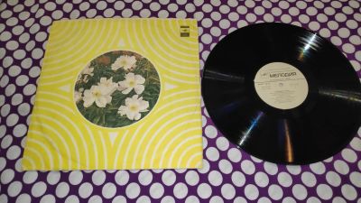 Лот: 25889927. Фото: 1. " Лебединое озеро " большая виниловая... Аудиозаписи