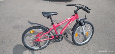 Лот: 20842897. Фото: 1. Велосипед Schwinn Mesa mini. Велосипеды