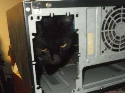 Лот: 10834661. Фото: 1. корпус с кулером и картридером. Корпуса, блоки питания