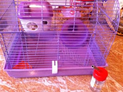 Лот: 6191820. Фото: 1. Джунгарский хомячек с клеткой... Остальные животные