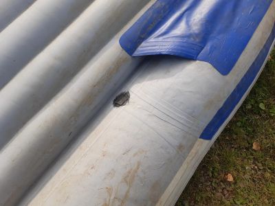 Лот: 16478739. Фото: 1. Лодка пвх Aquilon 390. Лодки и катера