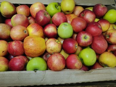 Лот: 17796259. Фото: 1. Лот №1, яблоки некондиция. Овощи, фрукты, зелень