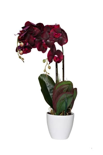Лот: 21559939. Фото: 1. Орхидея бордовая в горшке h58... Искусственные и сувенирные цветы