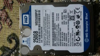 Лот: 9827325. Фото: 1. HDD жёсткий диск WD Blue 250GB... Жёсткие диски (HDD)
