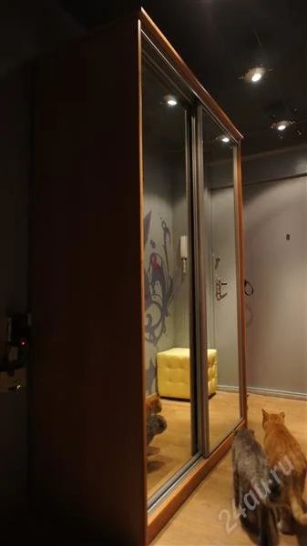 Лот: 2173729. Фото: 1. Шкаф-купе, 2 зеркальные дверцы... Шкафы, шкафы-купе