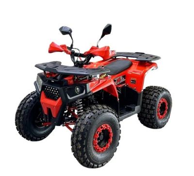 Лот: 25800755. Фото: 1. Квадроцикл BISON Forest 125 Lux. Снегоходы, квадроциклы