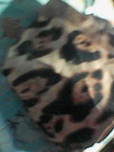 Лот: 25886682. Фото: 1. шелковый платок. Шарфы, платки