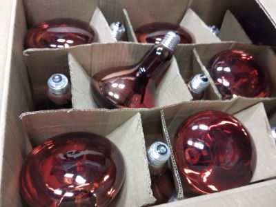 Лот: 15229623. Фото: 1. Лампа инфракрасная ИКЗК 220-250. Лампочки