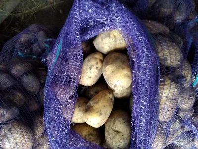 Лот: 16470112. Фото: 1. Кортофель. Овощи, фрукты, зелень