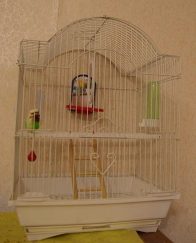 Лот: 4564010. Фото: 1. Клетка для птички. Домики, переноски, клетки, когтеточки