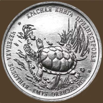 Лот: 13052350. Фото: 1. 1 рубль 2018 Приднестровье - Черепаха... Россия после 1991 года