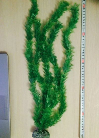 Лот: 6768748. Фото: 1. Искуственное растение. Водные растения